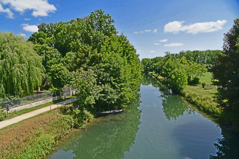 min 2025 06 08 Marais Poitevin 175